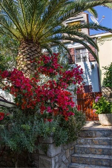 Apartment Julia Veli Lošinj Exterior foto